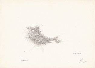piro drawing and fine art