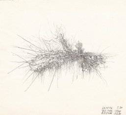 piro drawing and fine art