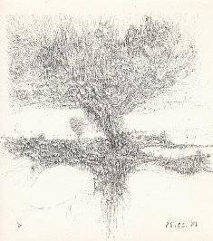 piro drawing and fine art