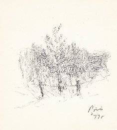 piro drawing and fine art