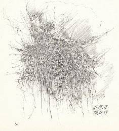 piro drawing and fine art