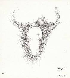 piro drawing and fine art