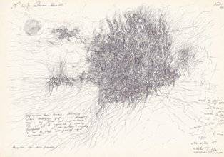 piro drawing and fine art