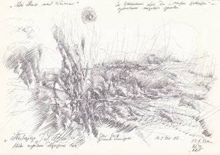 piro drawing and fine art
