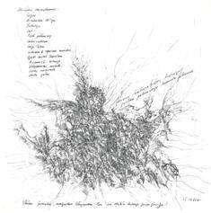 piro drawing and fine art
