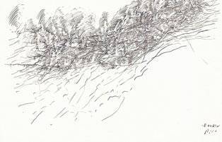 piro drawing and fine art
