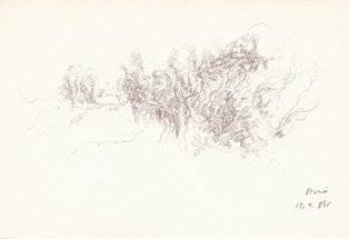 piro drawing and fine art